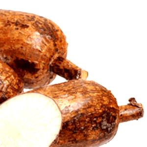 1 Cup Diced Cooked Cassava (Yuca Blanca)