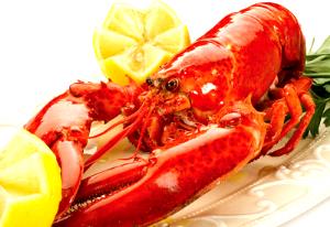 1 Cup Diced Steamed or Boiled Without Shell Lobster