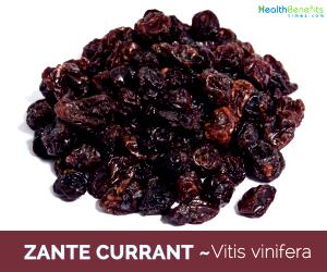 1 Cup Dried Zante Currants