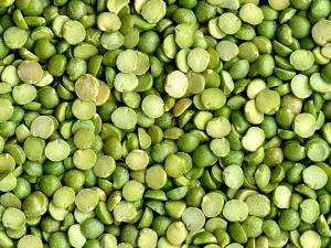 1 Cup, Dry, Yield After Cooking Cooked Dry Green or Yellow Split Peas