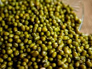 1 Cup, Dry, Yield After Cooking Cooked Mung Beans