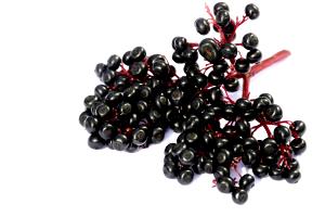 1 Cup Elderberry, Raw