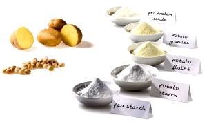 1 Cup, Granules, Dry Powdered Dry Potato