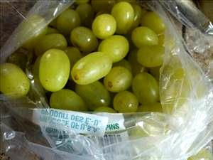 1 Cup Grapes (American Type, Slip Skin)