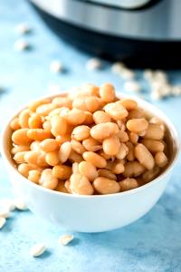 1 Cup Great Northern Bean, Boiled, No Added Salt