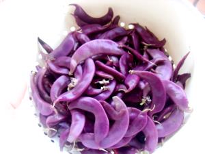 1 Cup Hyacinth Bean, Boiled, No Added Salt