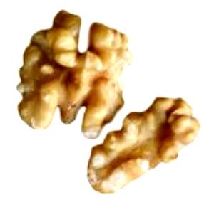 1 Cup, In Shell, Edible Yield (7 Nuts) English Walnuts