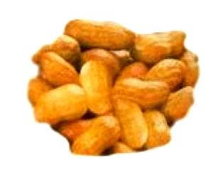 1 Cup In Shell, Edible Yield Peanuts (with Salt, Boiled, Cooked)