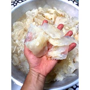 1 Cup Jellyfish, Dried, Salted