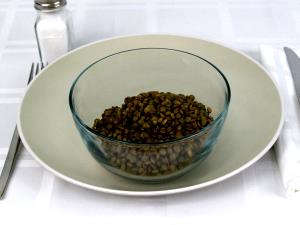 1 Cup Lentils (Mature Seeds, Without Salt, Cooked, Boiled)