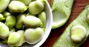 1 Cup Mashed Cooked Fava Beans (Fat Not Added in Cooking)