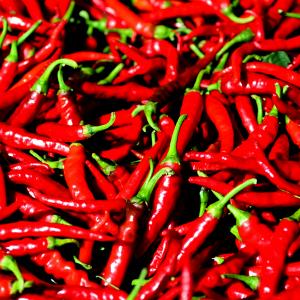 1 Cup Mature Red Chili Hot Peppers (Canned)
