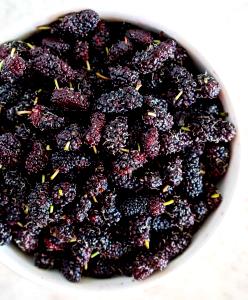 1 Cup Mulberries