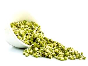 1 Cup Mung Beans (Mature Seeds, Sprouted)