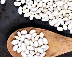 1 Cup Navy Bean, Sprouted, Raw