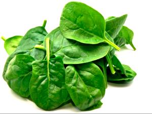 1 Cup New Zealand Spinach, Boiled, No Salt