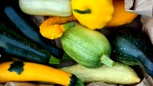 1 Cup, NFS Cooked Summer Squash (from Fresh)