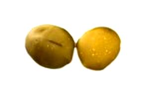 1 Cup, NFS Green Olives