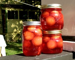1 Cup, NFS Plum in Light Syrup (Cooked or Canned)