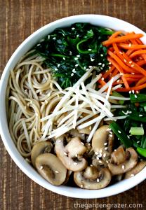 1 Cup Oriental Style Noodle Soup with Vegetables