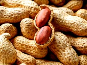 1 Cup Peanut, Valencia, Raw