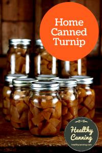 1 Cup Pieces Cooked Turnip (Canned)