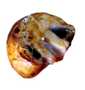 1 Cup Pieces Mushrooms (Without Salt, Drained, Cooked, Boiled)