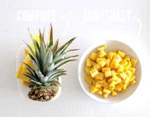 1 Cup Pineapple Toppings