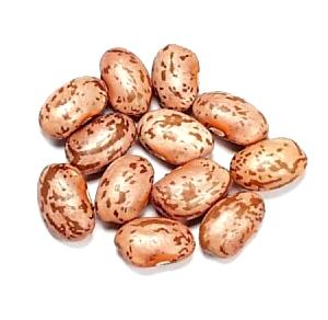 1 Cup Pinto Beans (Mature Seeds)