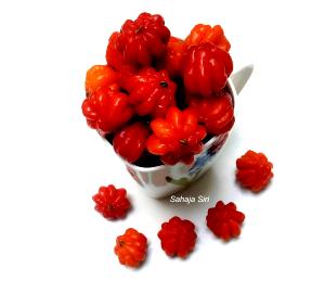 1 Cup Pitanga (Surinam-Cherry)
