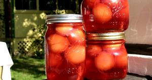 1 Cup Pitted Plum in Light Syrup (Cooked or Canned)