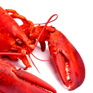 1 Cup Puerto Rican Style Lobster Creole (Langosta A La Criolla)