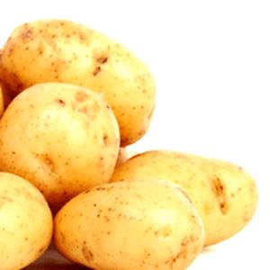 1 Cup Puerto Rican Style Starchy Vegetables (Viandas, including Yam, White Sweetpotato, Tannier, No Plantain)