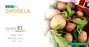 1 Cup Pulp Sapodilla