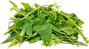 1 Cup Pumpkin Leaf, Raw