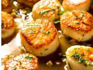 1 Cup Raw, Yield Cooked Scallops