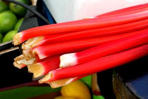 1 Cup Rhubarb Drained Solids (Cooked or Canned)