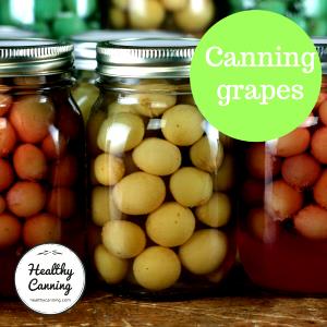 1 Cup Seedless Grapes Unsweetened in Water Pack (Cooked or Canned)