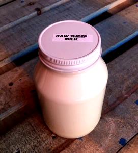 1 Cup Sheep Milk