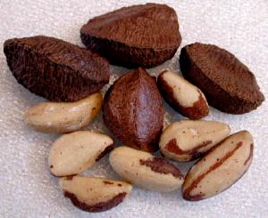 1 Cup Shelled (32 Kernels) Unblanched Dried Brazilnuts