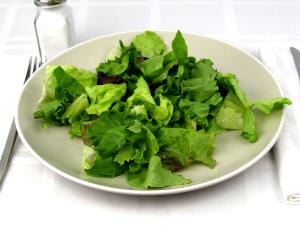 1 Cup Shredded Or Chopped Boston Lettuce