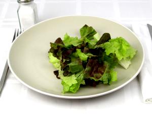 1 Cup Shredded Red Leaf Lettuce