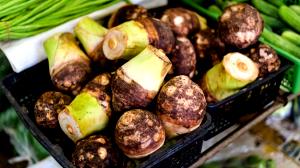 1 Cup, Sliced (86.0 G) Taro Shoots, raw