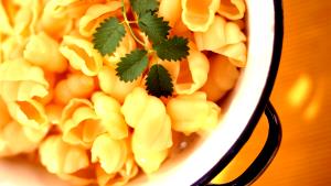 1 Cup Small Shells Macaroni (Enriched, Cooked)