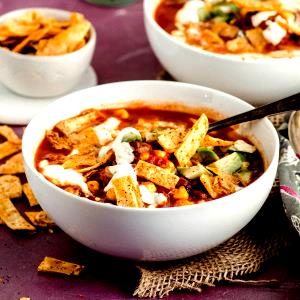 1 Cup Soup, Southwestern Tortilla, Vegetarian - Concentrate