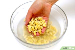 1 Cup Soybean, Boiled W/Salt