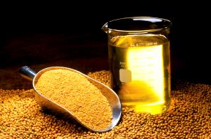 1 Cup Soybean Meal
