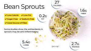 1 Cup Sprouts