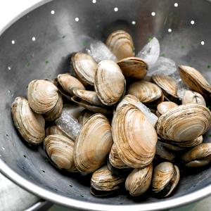 1 Cup, Strips Cooked Clams