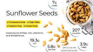 1 Cup Sunflower Seed, Dried